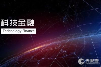 四川東鼎里智信息技術(shù)有限責(zé)任公司周琳 工商 風(fēng)險(xiǎn)信息 天眼查